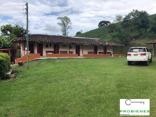 #2174 - Finca para Venta en Carmen de Viboral - ANT - 1