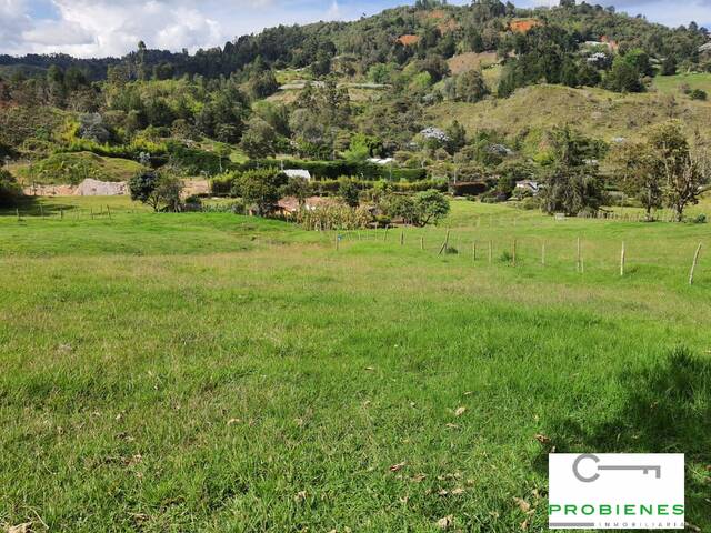 #2251 - Casa para Venta en Rionegro - ANT