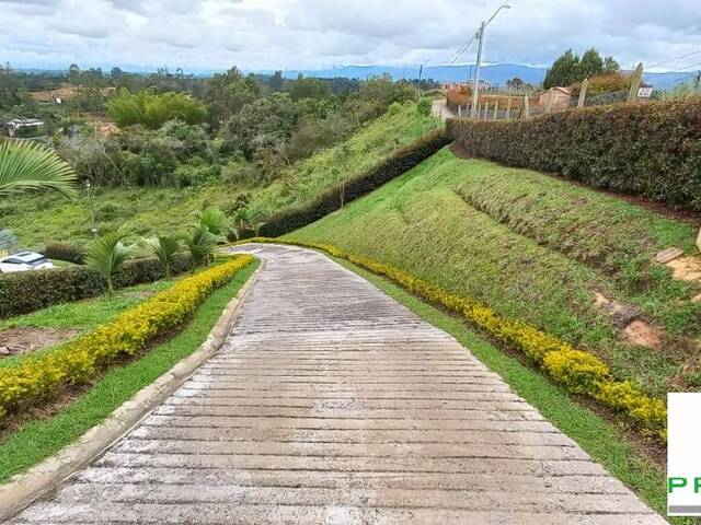 #2293 - Finca para Venta en San Vicente - ANT - 2