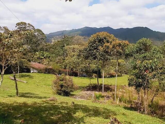 #2309 - Lote para Venta en Rionegro - ANT - 2