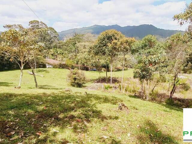 #2309 - Lote para Venta en Rionegro - ANT - 3