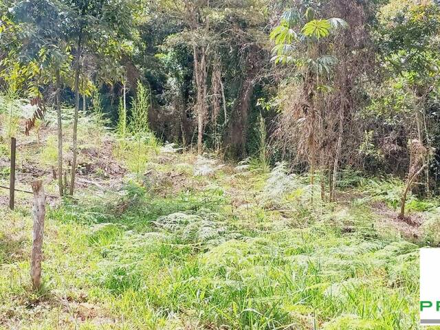 #2310 - Lote para Venta en Rionegro - ANT - 3