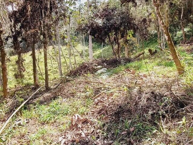 #2311 - Lote para Venta en Rionegro - ANT - 3