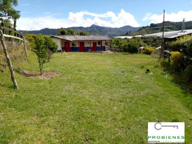 #2329 - Finca para Venta en Sonsón, - ANT - 1