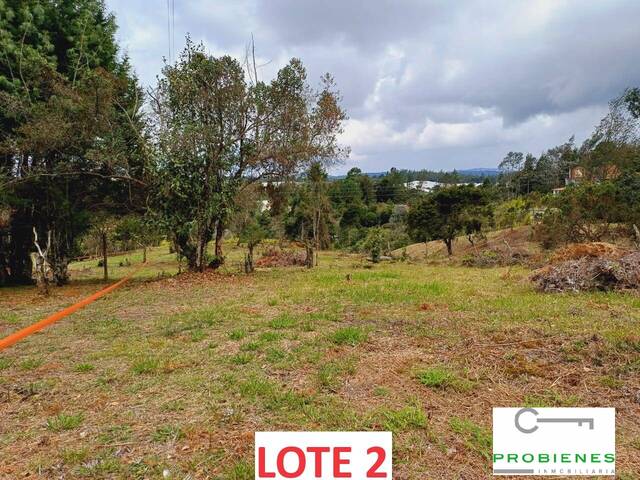 #2457 - Lote para Venta en Guarne - ANT - 1