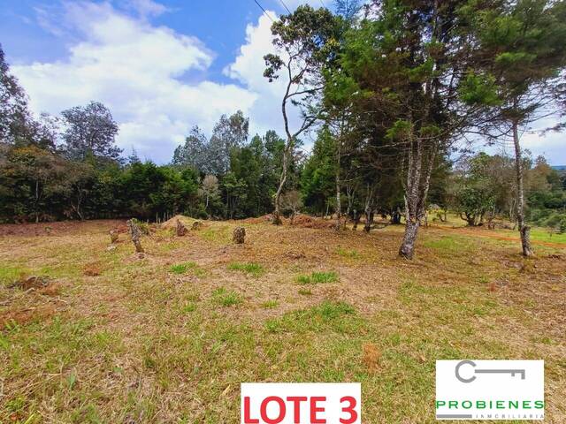 #2457 - Lote para Venta en Guarne - ANT - 2