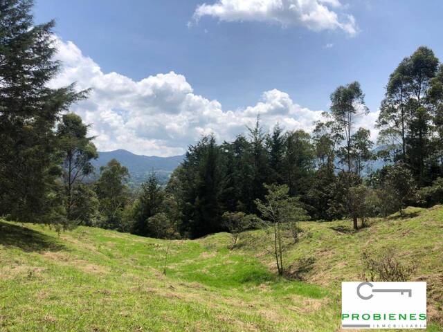 #2463 - Lote para Venta en Rionegro - ANT - 3