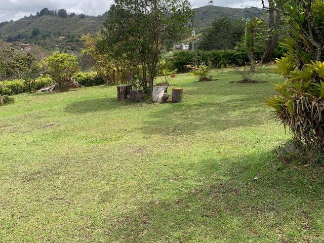 #2479 - Finca para Venta en Guarne - ANT - 3