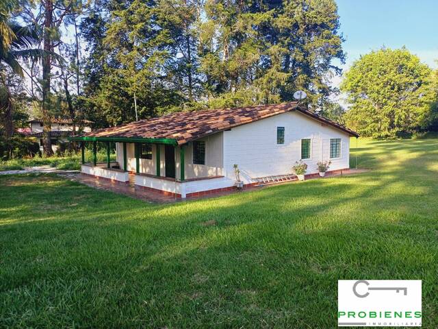 #2505 - Finca para Venta en Carmen de Viboral - ANT - 2