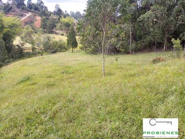 #2506 - Lote para Venta en Rionegro - ANT - 2