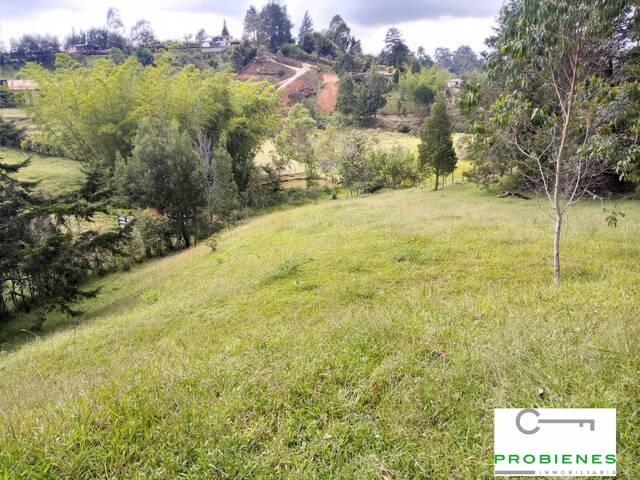 #2506 - Lote para Venta en Rionegro - ANT - 3